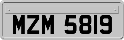 MZM5819