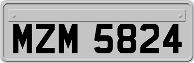 MZM5824