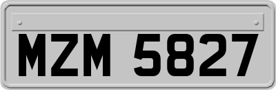 MZM5827