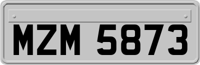 MZM5873