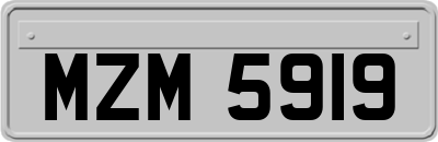 MZM5919
