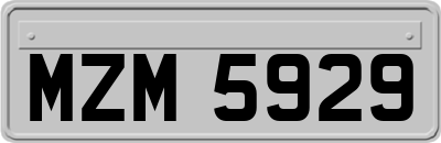 MZM5929