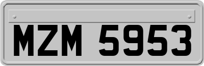 MZM5953