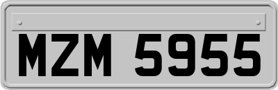 MZM5955
