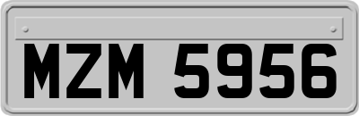MZM5956