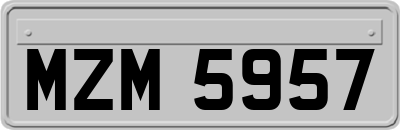 MZM5957