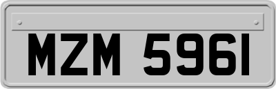 MZM5961