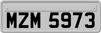 MZM5973
