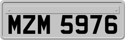 MZM5976