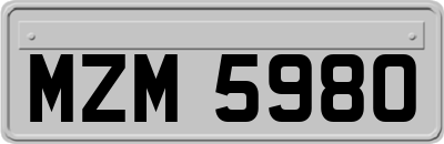 MZM5980