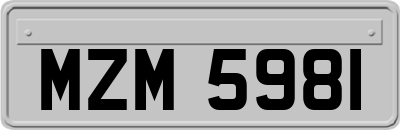 MZM5981