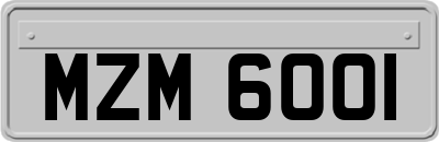 MZM6001