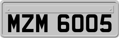 MZM6005