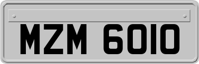 MZM6010