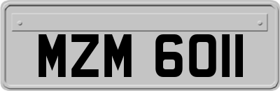 MZM6011