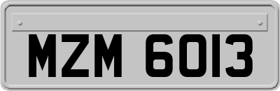 MZM6013
