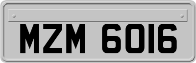 MZM6016