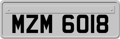 MZM6018