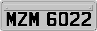 MZM6022