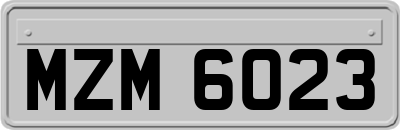 MZM6023