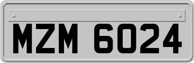 MZM6024