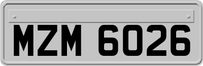 MZM6026