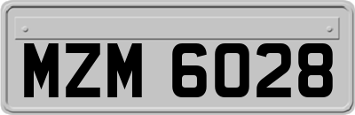 MZM6028