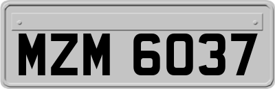 MZM6037