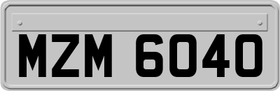 MZM6040