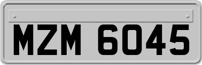 MZM6045