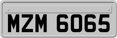 MZM6065