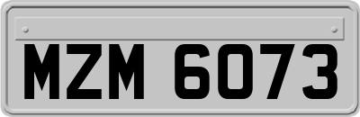 MZM6073