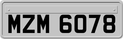 MZM6078
