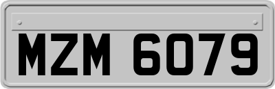 MZM6079