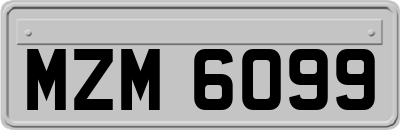 MZM6099