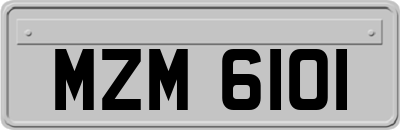 MZM6101