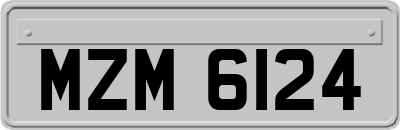 MZM6124