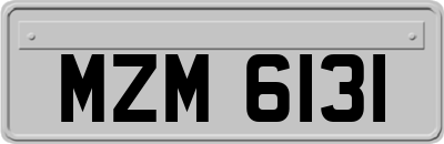 MZM6131