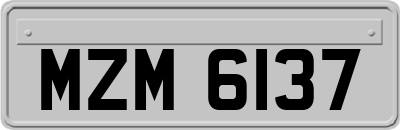 MZM6137