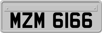 MZM6166