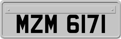 MZM6171