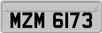 MZM6173