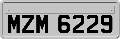 MZM6229
