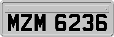 MZM6236