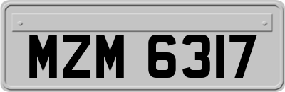 MZM6317