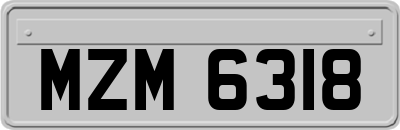 MZM6318