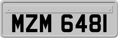 MZM6481