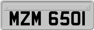 MZM6501