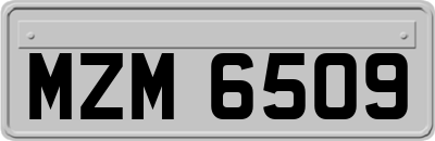 MZM6509