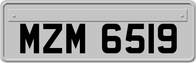 MZM6519